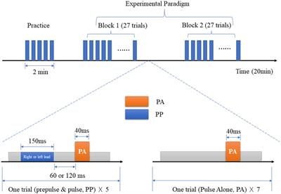 Core of sensory gating deficits in first-episode schizophrenia: attention dysfunction
